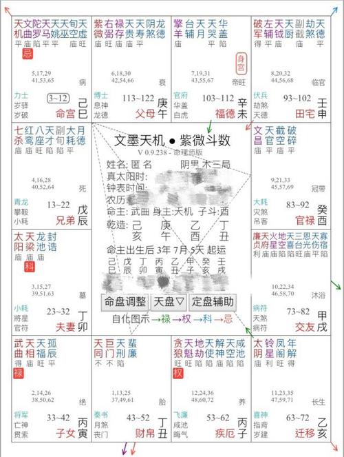 流年紫微人盘(紫微命盘天盘地盘人盘)